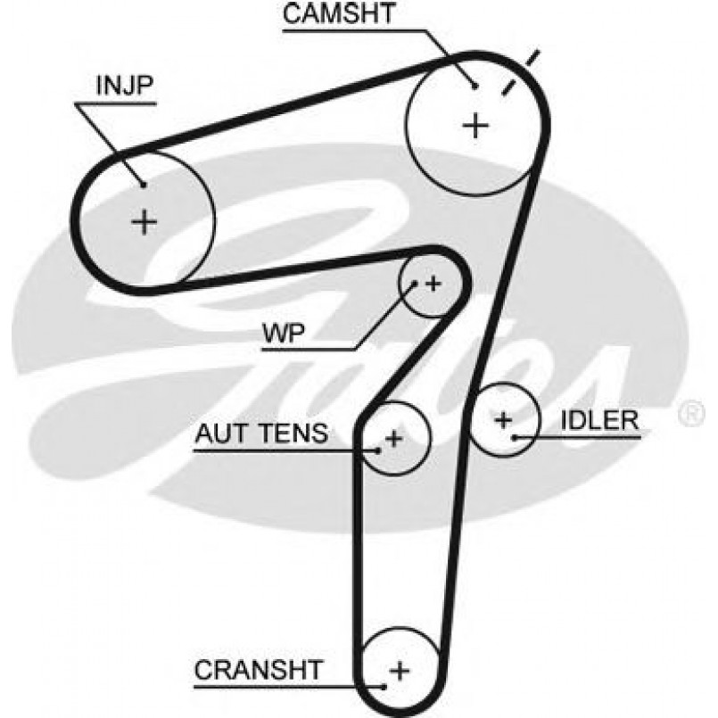 5623XS (8597-15623) Ремінь ГРМ GATES XS