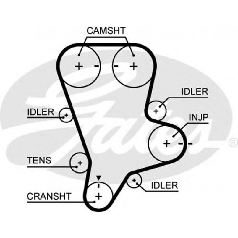 5644XS (8597-15644) Ремінь ГРМ GATES XS