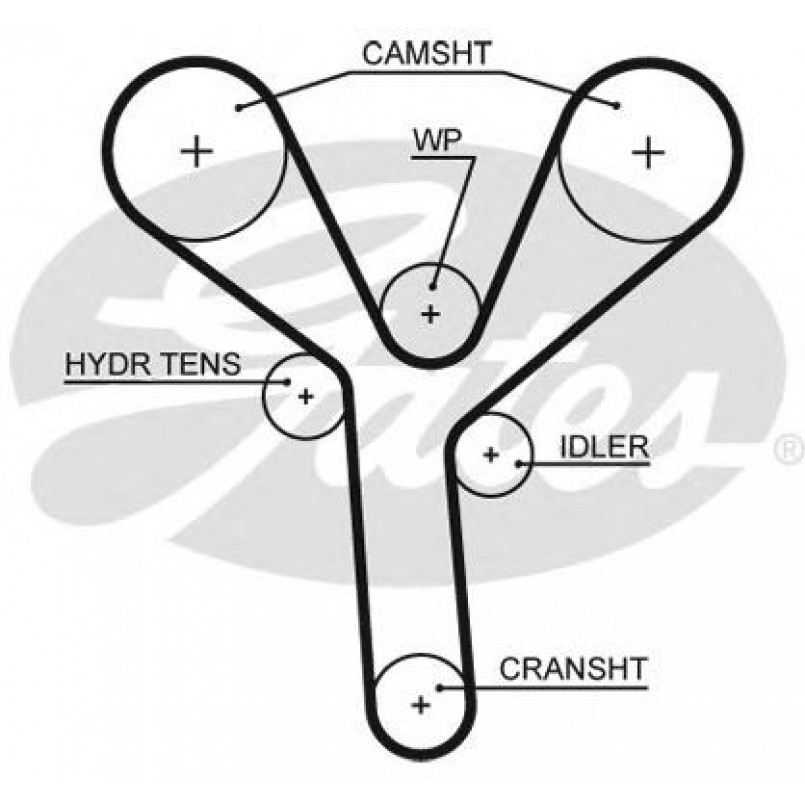5660XS (8597-15660) Ремінь ГРМ GATES XS