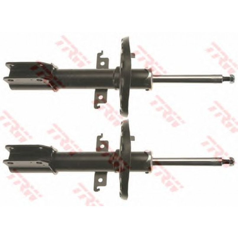 JGM1054T TRW - Комплект амортизаторів (L/R)