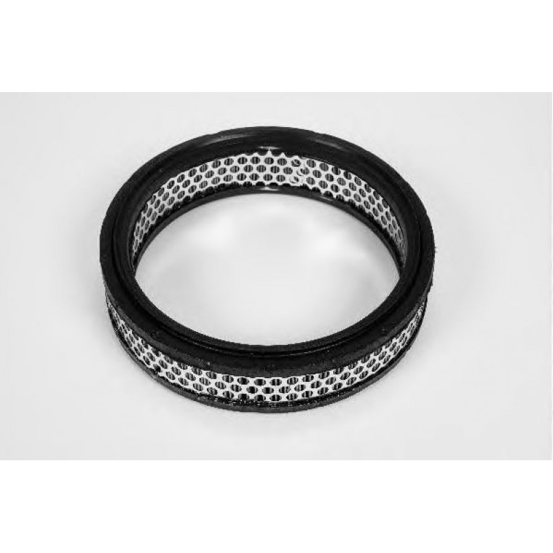 W210/606     (Champion)