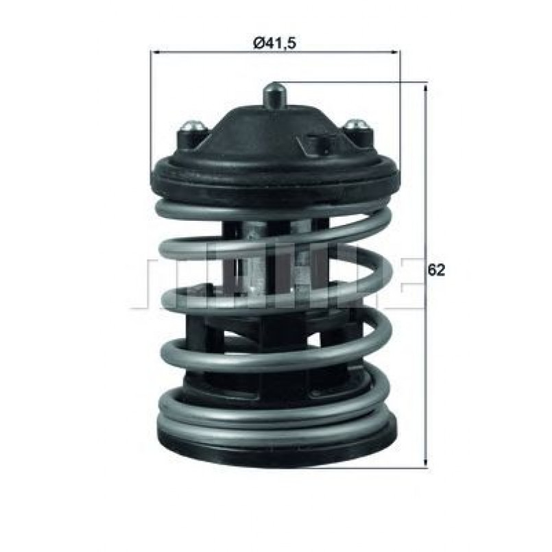 TX16387D1  Mahle - Термостат