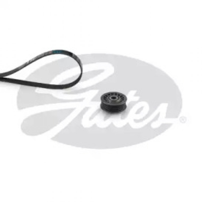 K018PK2465 (7884-21303)  Комплект ременів GATES MICRO V KIT
