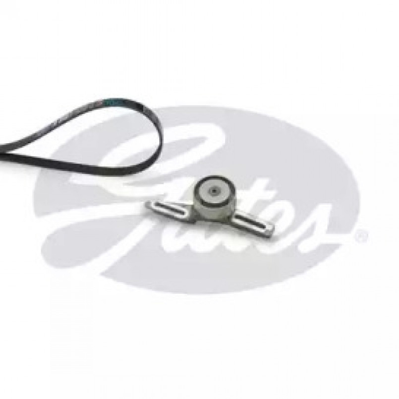 K025PK1220 (7884-21359)  Комплект ременів GATES MICRO V KIT