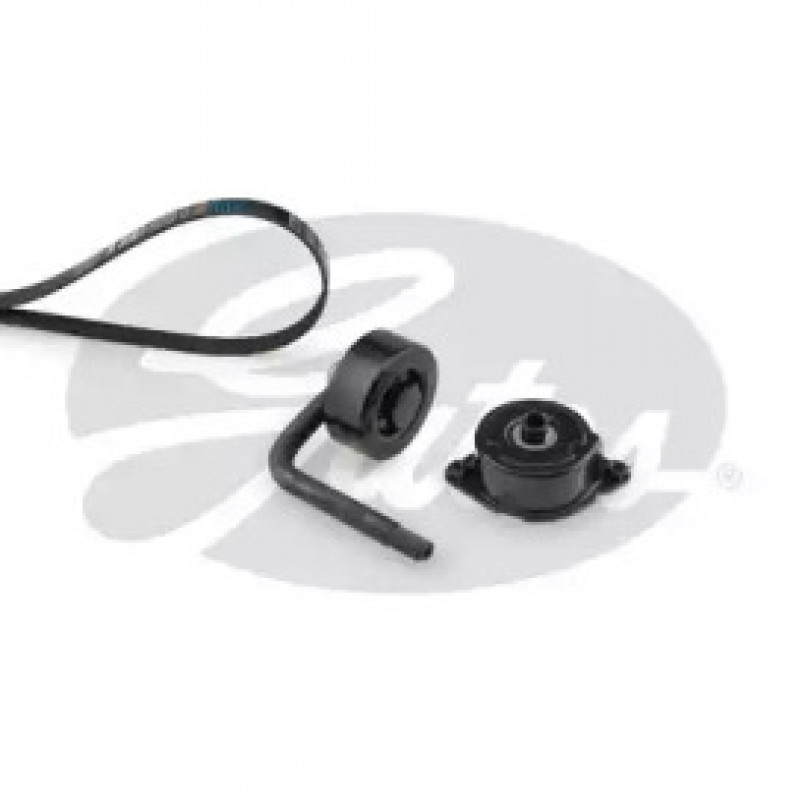K025PK810 (7884-21379)  Комплект ременів GATES MICRO V KIT