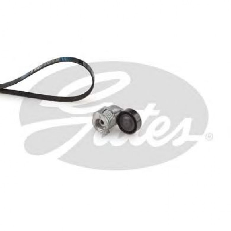K025PK848 (7884-21381)  Комплект ременів GATES MICRO V KIT