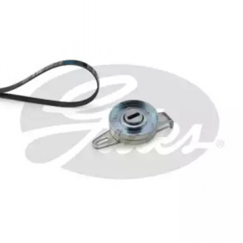 K036PK1010  (7884-21614)  Комплект ременів GATES ICRO V KIT