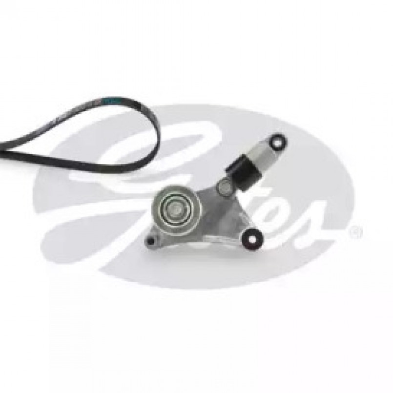 K047PK1973 (7884-21901)  Комплект ременів GATES MICRO V KIT
