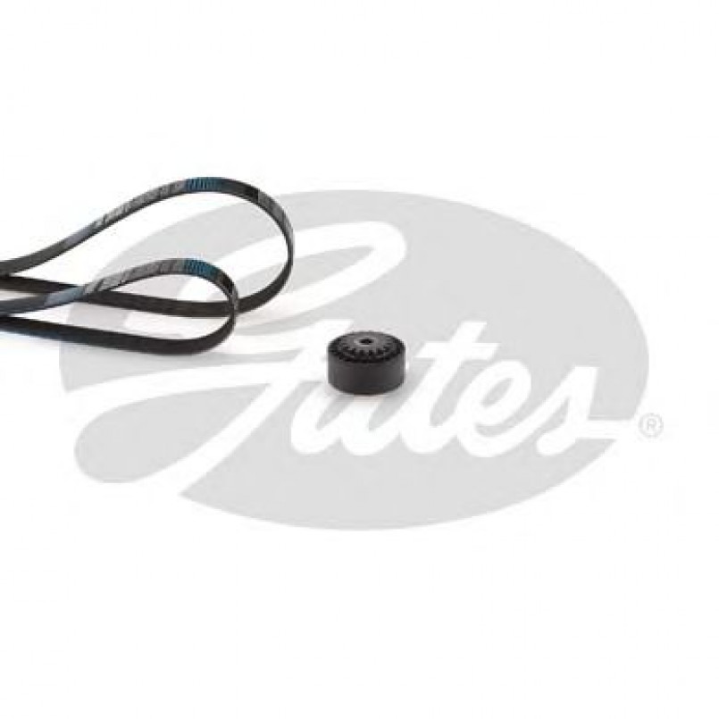 K053PK738 (7884-21903)  Комплект ременів GATES MICRO V KIT