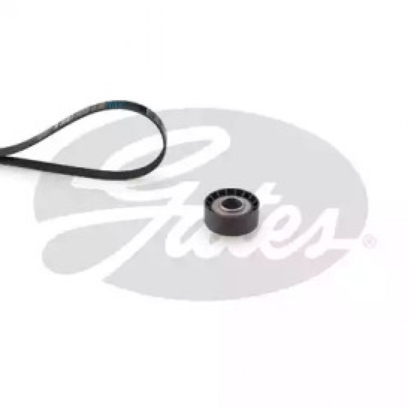 K055PK1193 (7884-21919)  Комплект ременів GATES MICRO V KIT