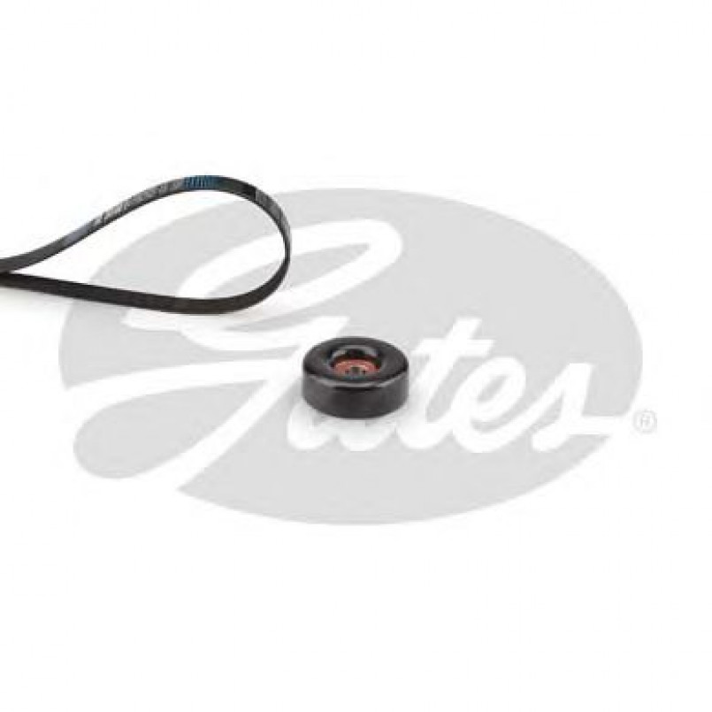 K056PK2513 (7884-22014)  Комплект ременів GATES MICRO V KIT