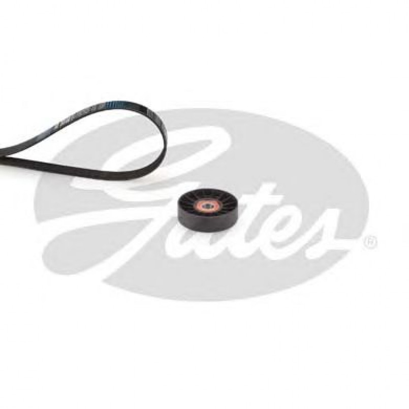 K076PK2513 (7884-22189)  Комплект ременів GATES MICRO V KIT