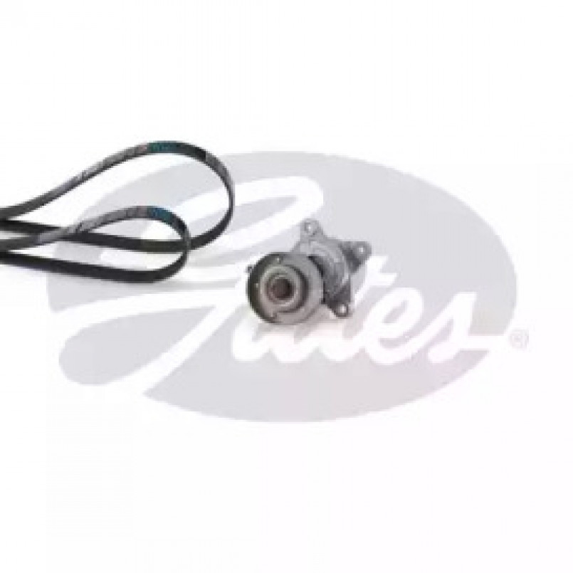 K126PK1123 (7884-22385)  Комплект ременів GATES MICRO V KIT