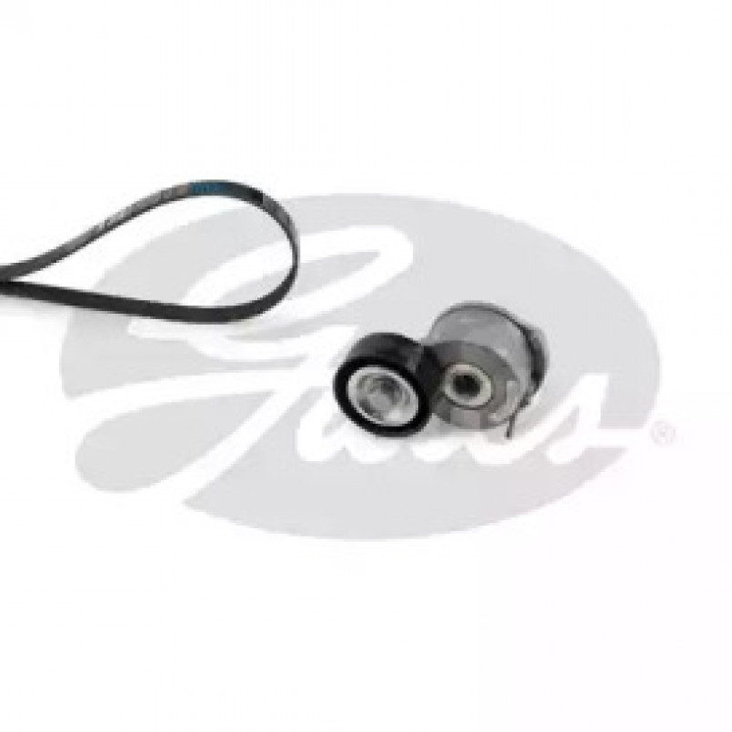 K036PK1245  (7884-22612)  Комплект ременів GATES ICRO V KIT