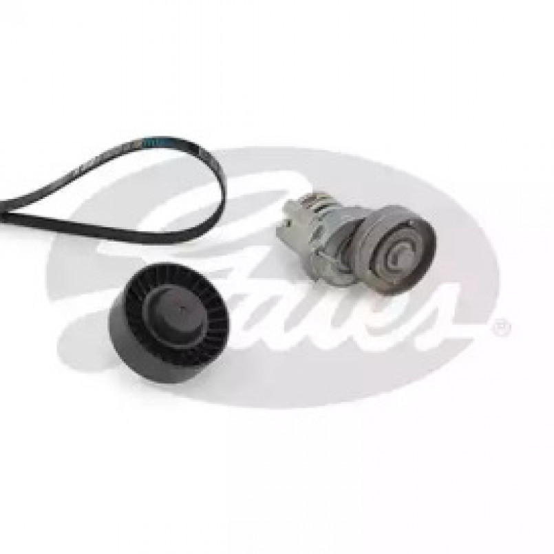 K096PK1693 (7884-22829)  Комплект ременів GATES MICRO V KIT