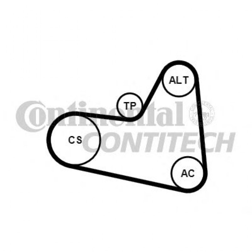 6PK976K1   Комплект ременя CONTI-V MULTIRIB BELT KIT