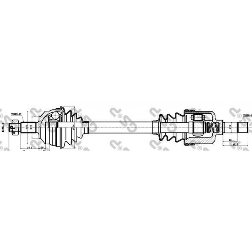 210072 GSP  -  Напіввісь