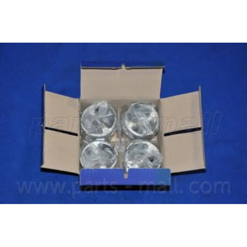 PXMSA-006C PMC  -  Поршень
