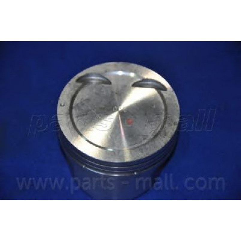 PXMSA-010C PMC  -  Поршень
