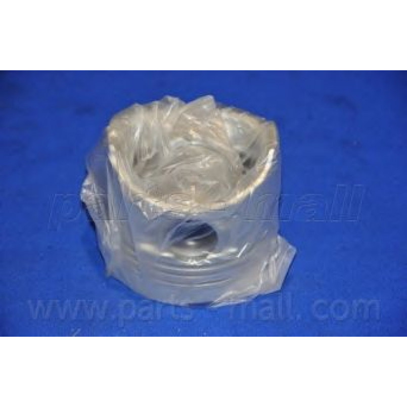 PXMSA-031A PMC  -  Поршень