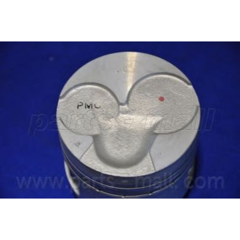 PXMSA-031A PMC  -  Поршень