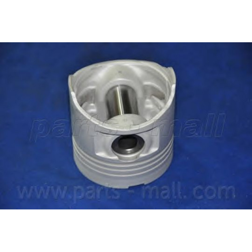 PXMSA-031C PMC  -  Поршень