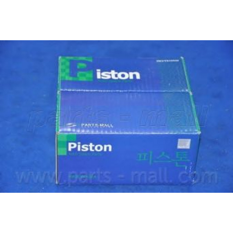 PXMSA-0331 PMC  -  Поршень