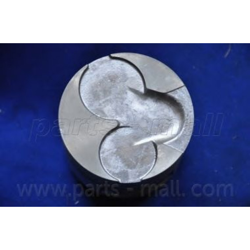 PXMSA-0331 PMC  -  Поршень