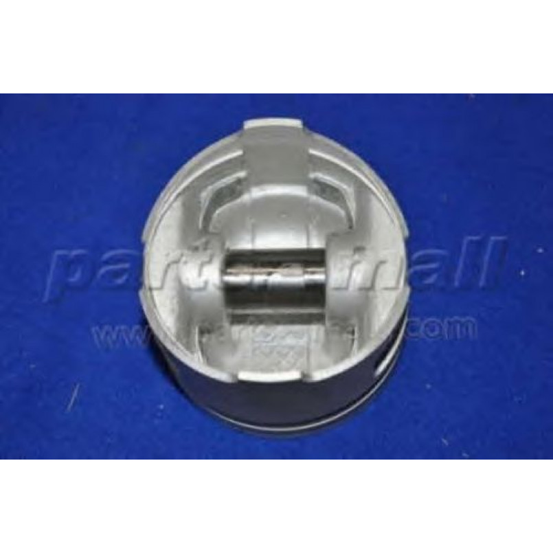 PXMSA-042B PMC  -  Поршень
