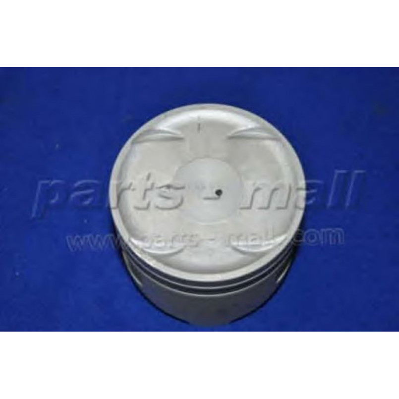PXMSA-042B PMC  -  Поршень