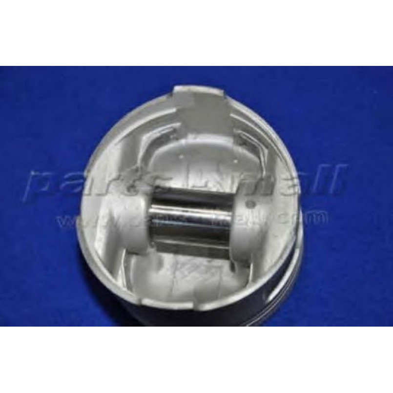PXMSA-042C PMC  -  Поршень