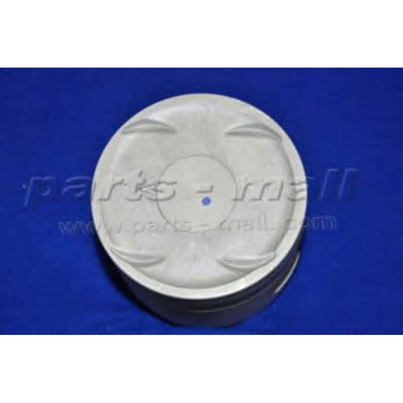 PXMSA-042C PMC  -  Поршень