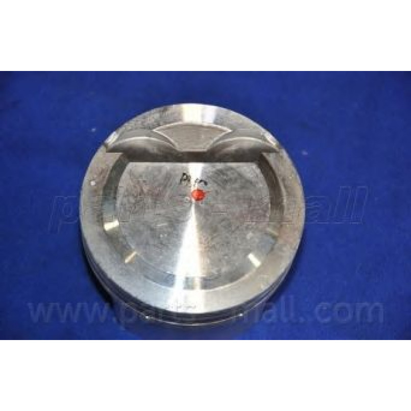PXMSA-055A PMC  -  Поршень