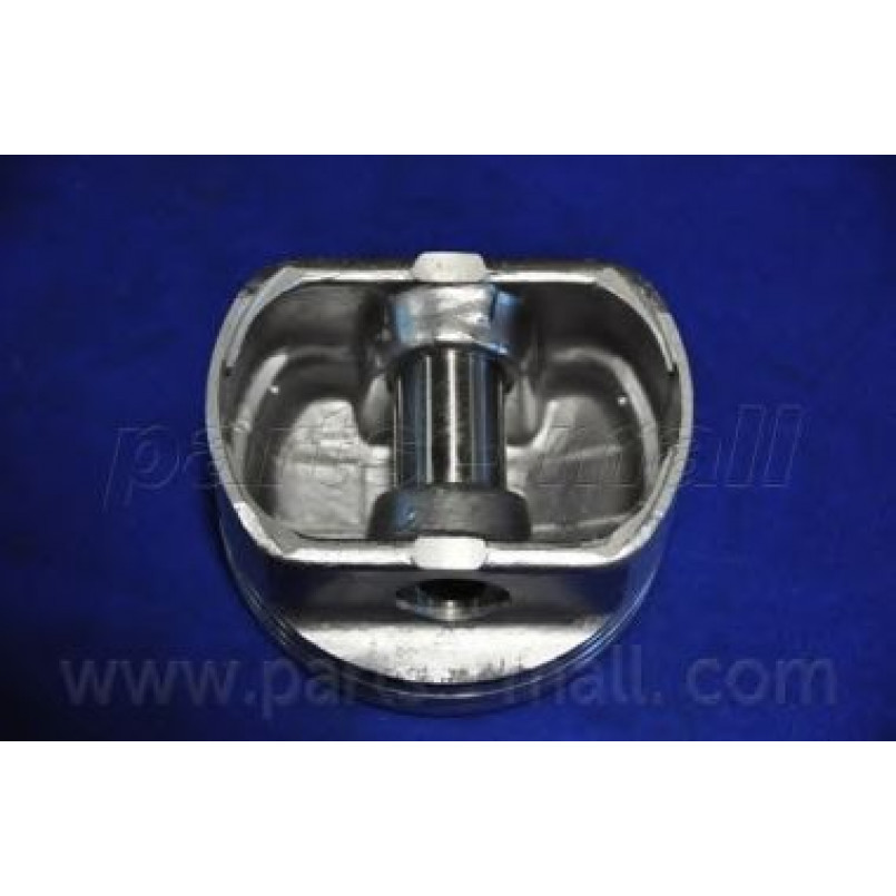 PXMSA-055A PMC  -  Поршень