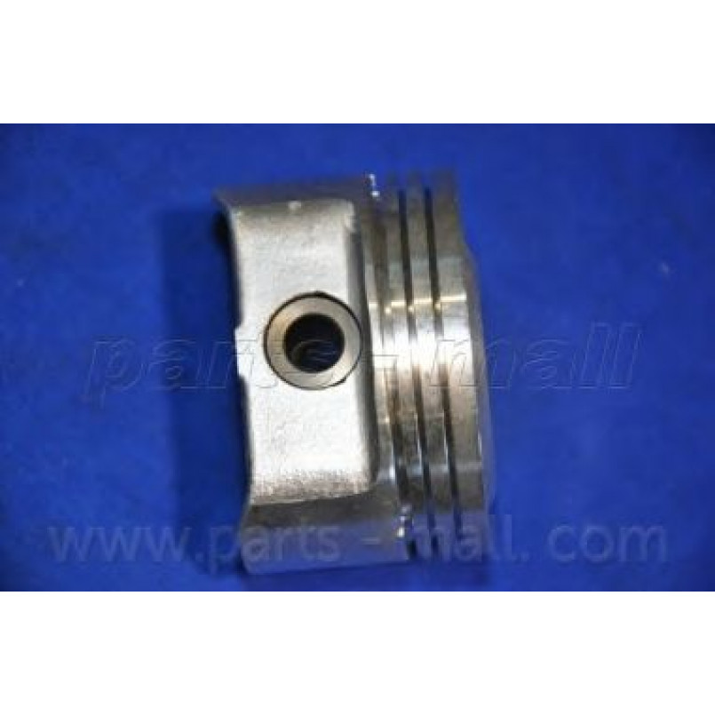 PXMSA-055A PMC  -  Поршень
