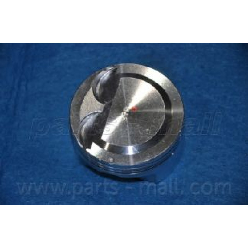 PXMSA-056A PMC  -  Поршень