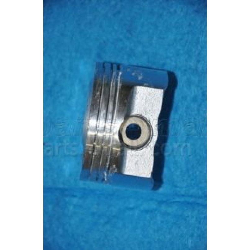 PXMSA-056C PMC  -  Поршень