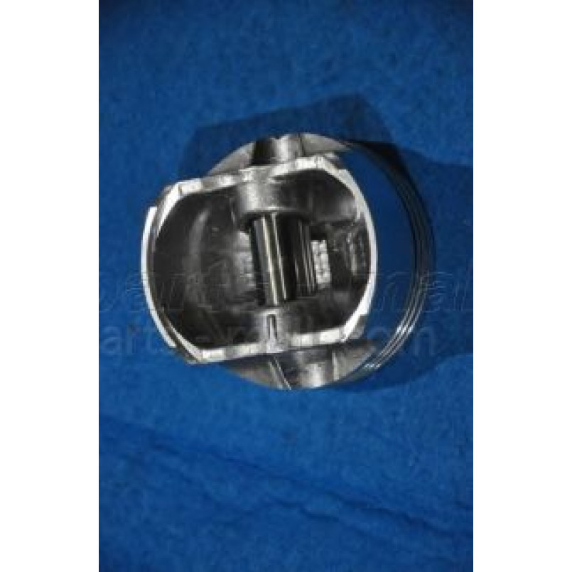 PXMSA-056C PMC  -  Поршень