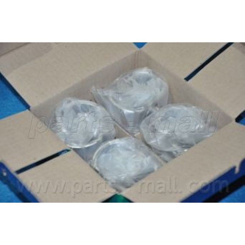 PXMSA-056C PMC  -  Поршень