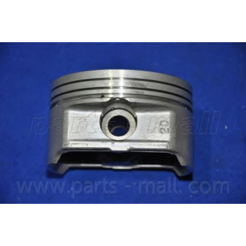 PXMSA-073A PMC  -  Поршень