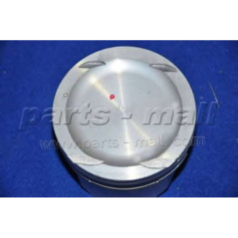 PXMSC-011C PMC  -  Поршень