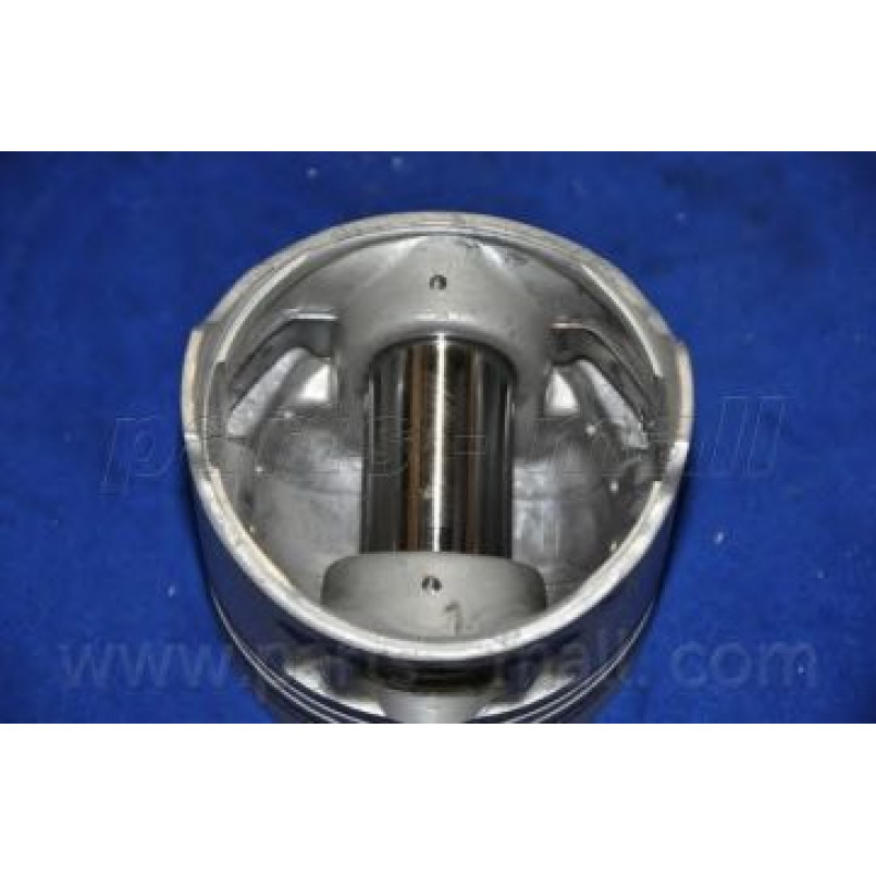 PXMSA-0311 PMC  -  Поршень