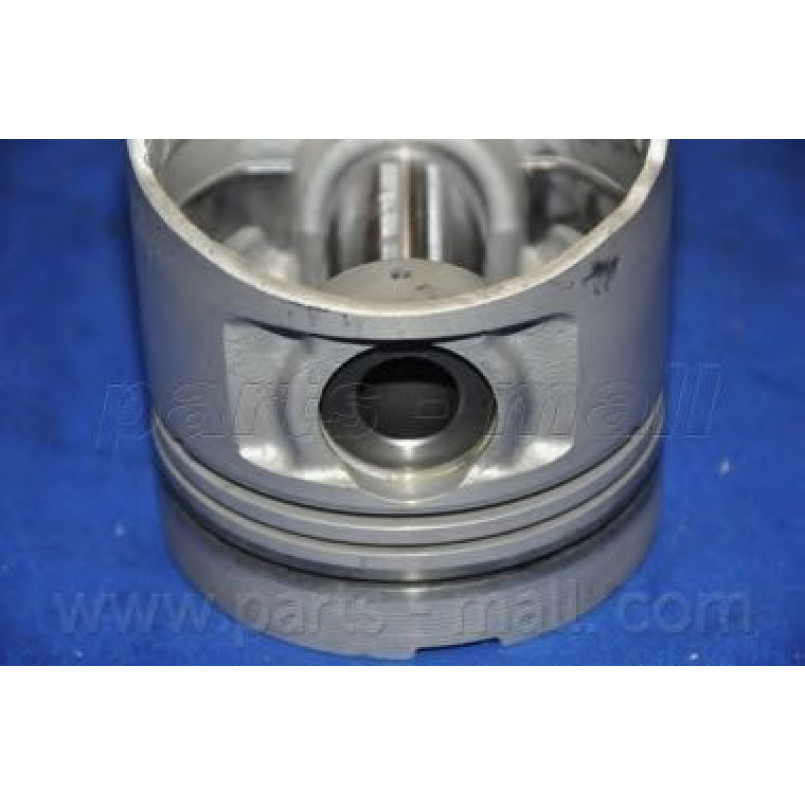 PXMSA-0311 PMC  -  Поршень