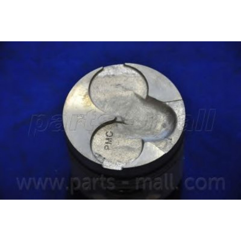 PXMSA-0311 PMC  -  Поршень