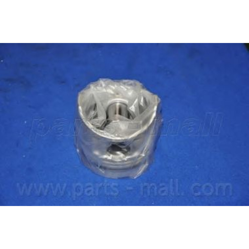 PXMSA-0311 PMC  -  Поршень