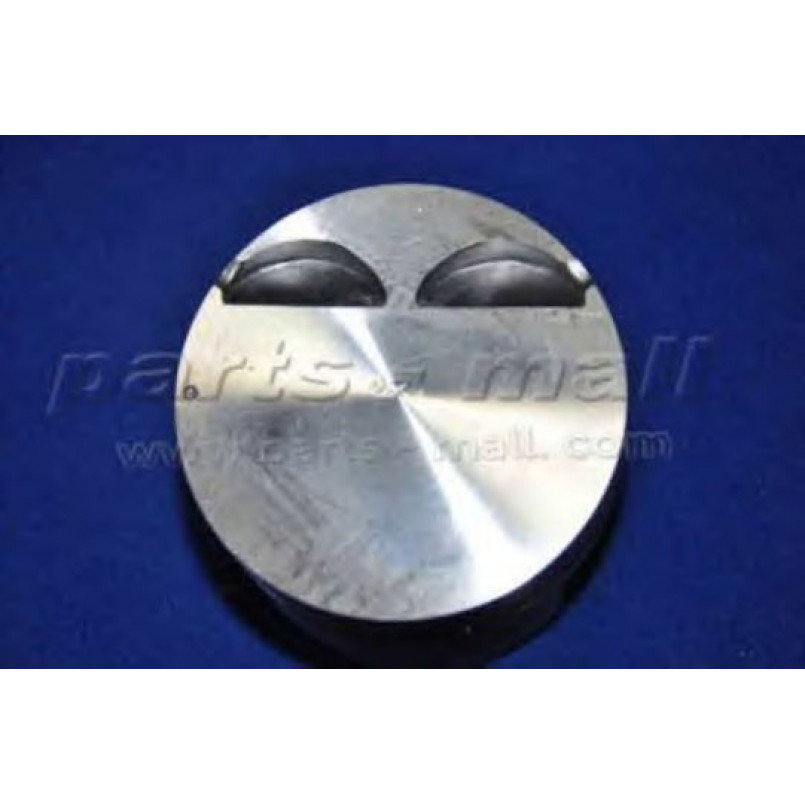 PXMSA-031B PMC  -  Поршень