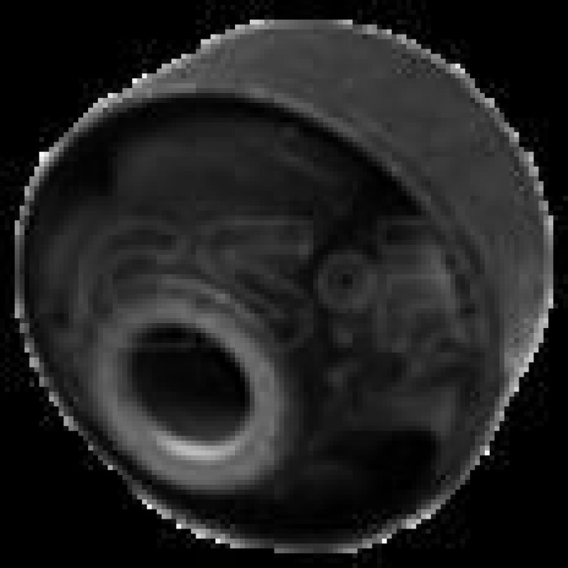 514847 GSP  -  Сайлентблок