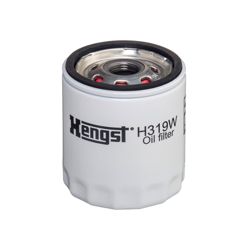 H319W     (HENGST)