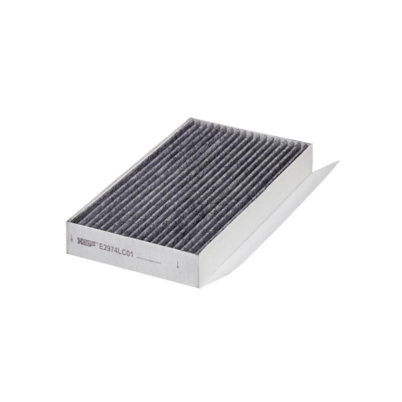 E2974LC01     (HENGST)