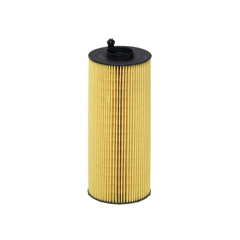 E830H D366     (HENGST)